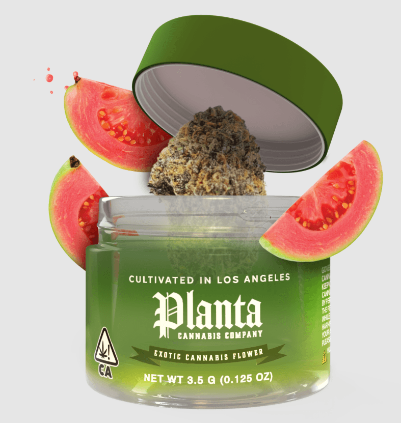 Planta Zoap 3.5g