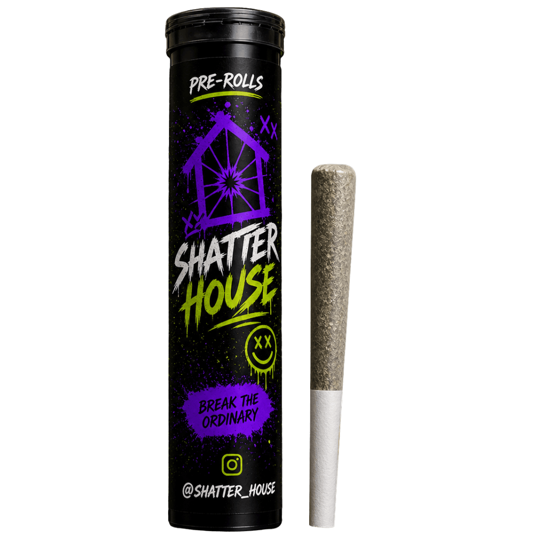 Shatter House Extracts