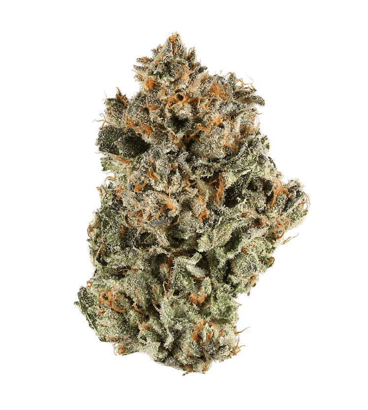 Fresh Platinum Glue
