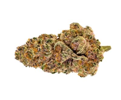 Pure Sunfarms PURE SUNFARMS-PURPLE FOG LTO