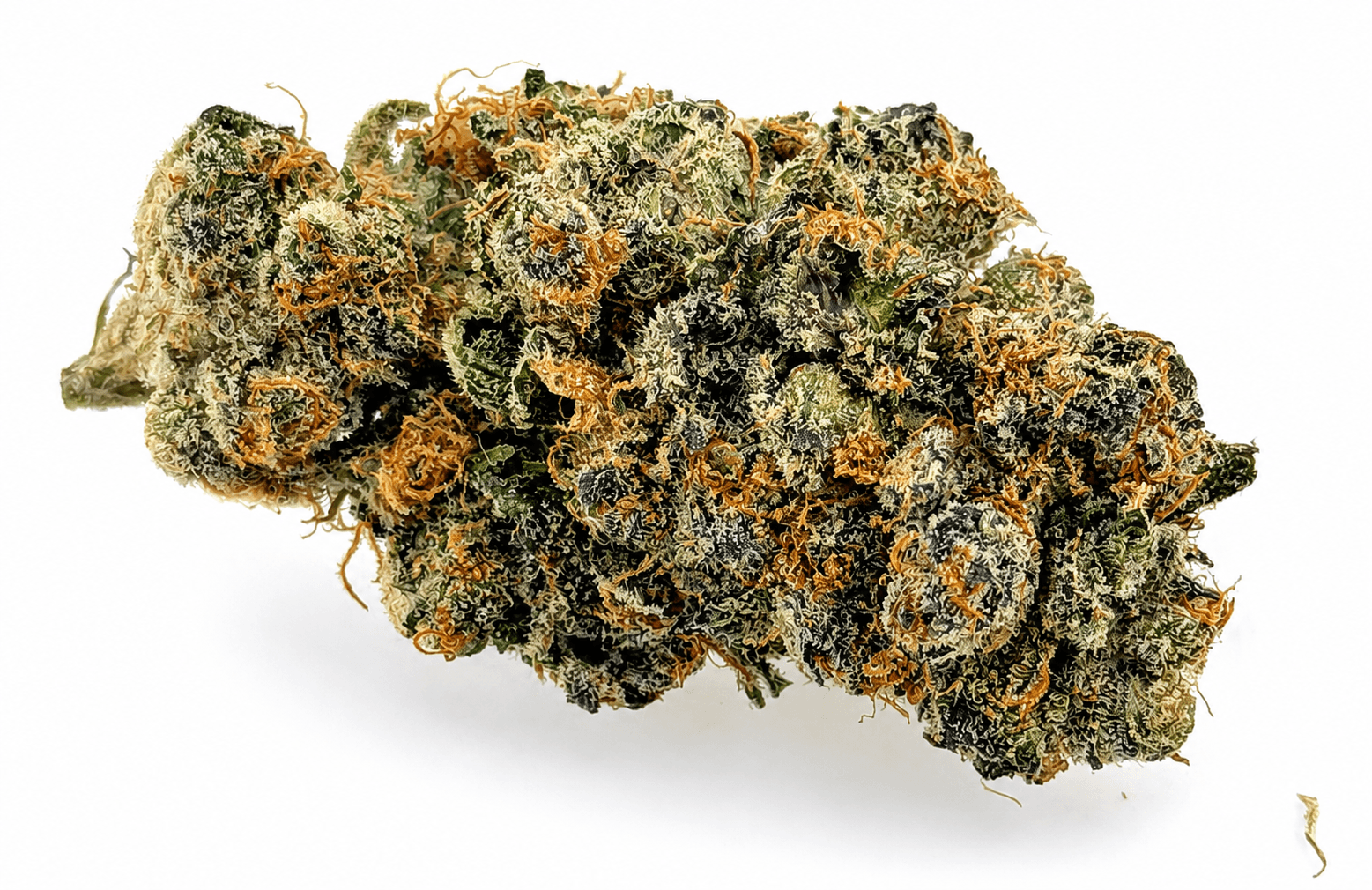 Cheech & Chong 3.5g | Cheech & Chong Yesca