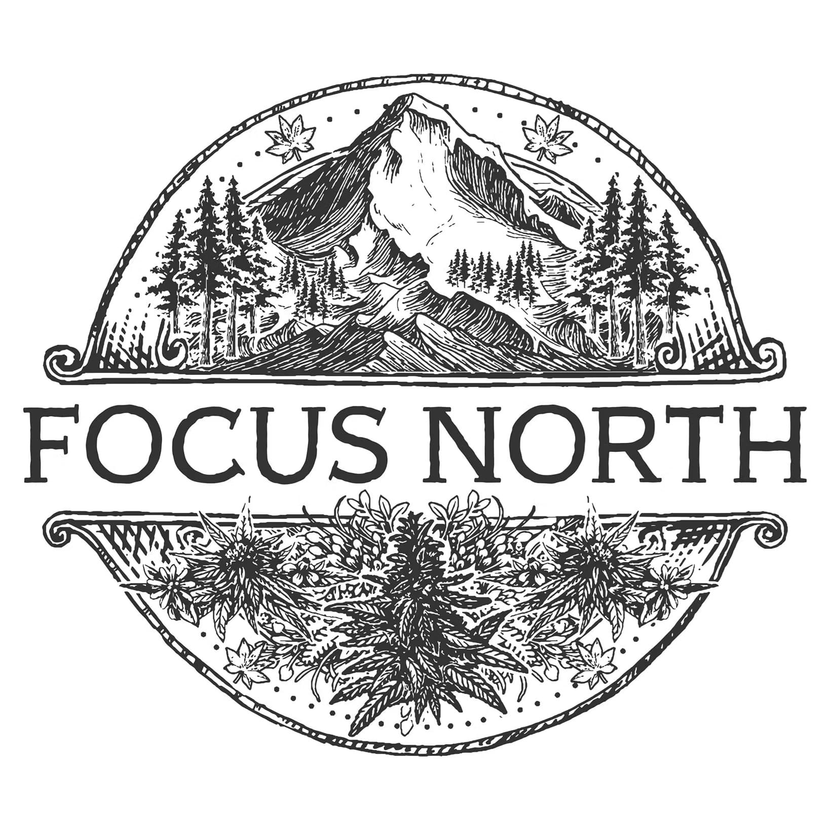 Focus North Gardens Chem Wrecker