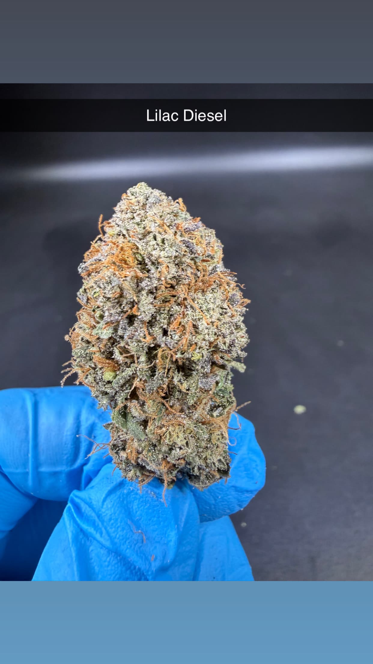 Ganja Goddess