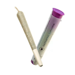 U4EA Mad Honey | Preroll | 1g