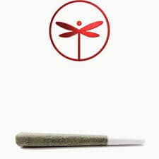 Dragonfly JEALOUSY PREROLL 1G