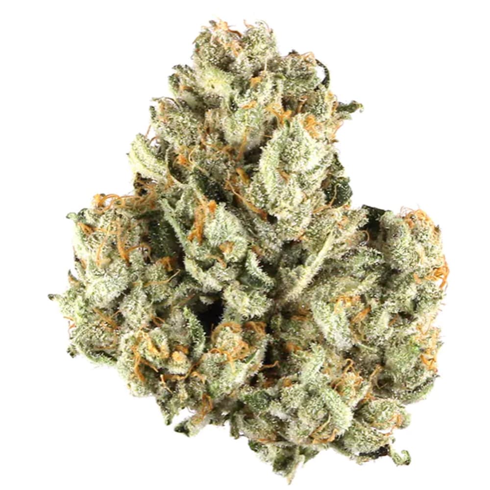 Evidence Blueberry Pancakes 3.5G