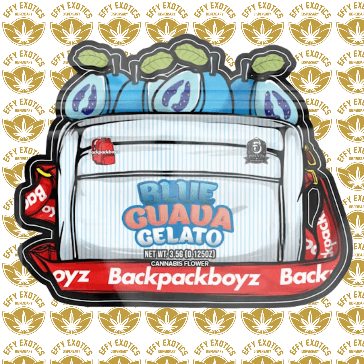 BACKBACKBOYZ