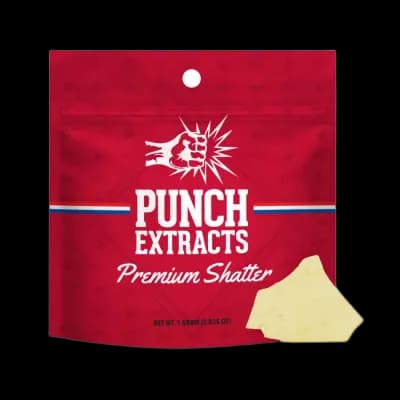 PUNCH Apple Fritter - Shatter