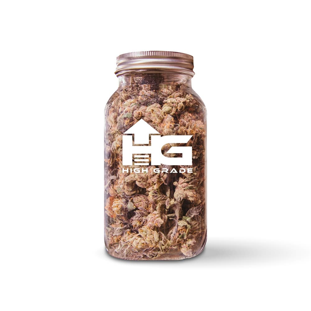HIGH GRADE Apple Fritter
