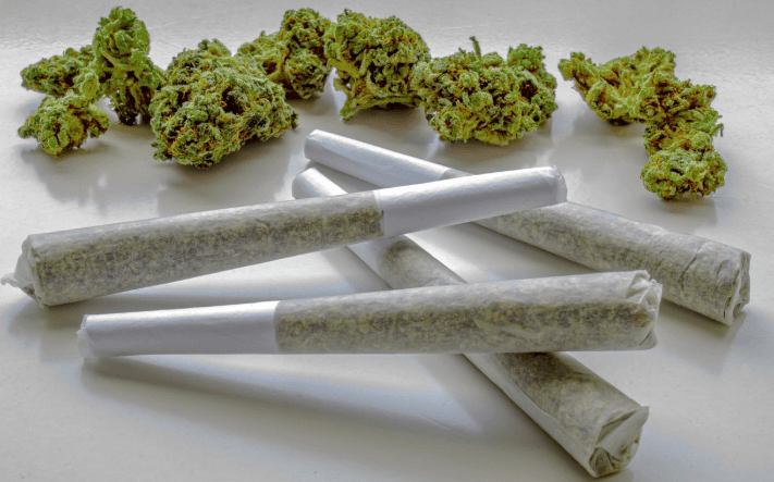 Stay High Dulce De Uva (I) 1G Pre-rolls