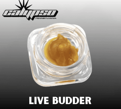 Calypso Sunset 41 | Live Budder | 4g