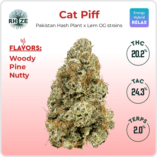 Rhize Cannabis Company Cat Piff
