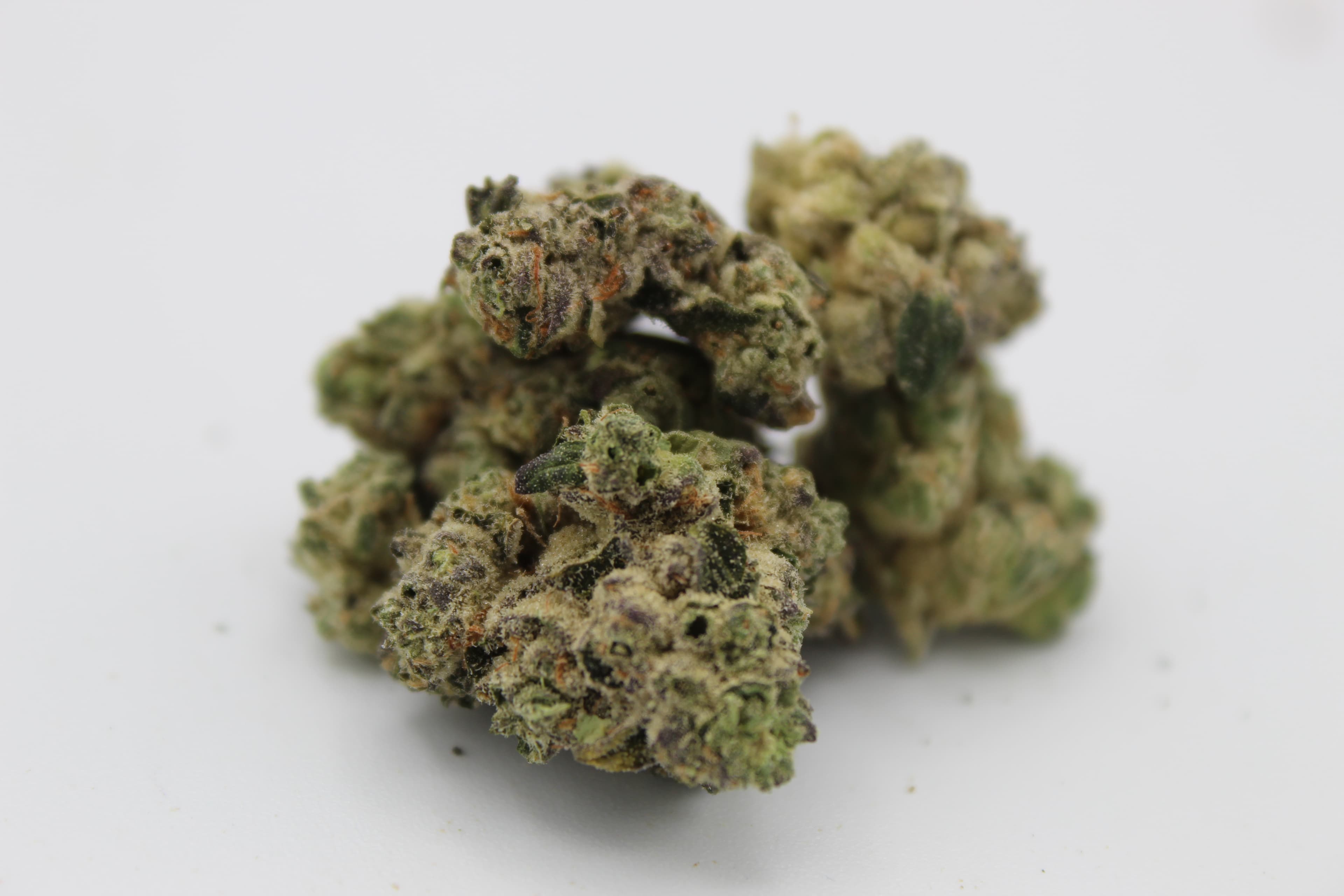 Sanctuary ATC (Indica) Space Center