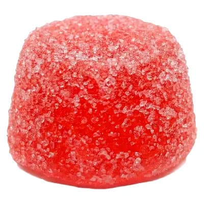 The Foundry Batch: Watermelon No. 1 | 1-Pack