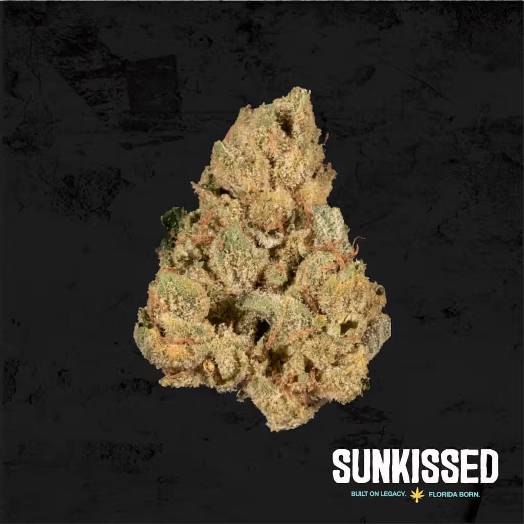 Sunkissed Flower