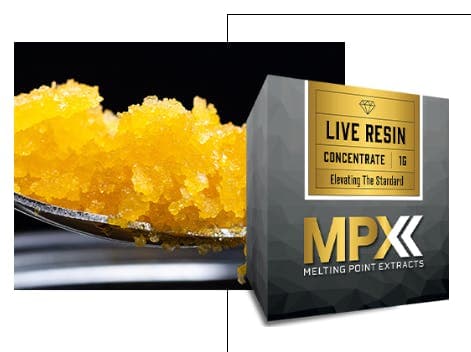 MPX Pine Barrens Dreamfuel Live Resin Badder