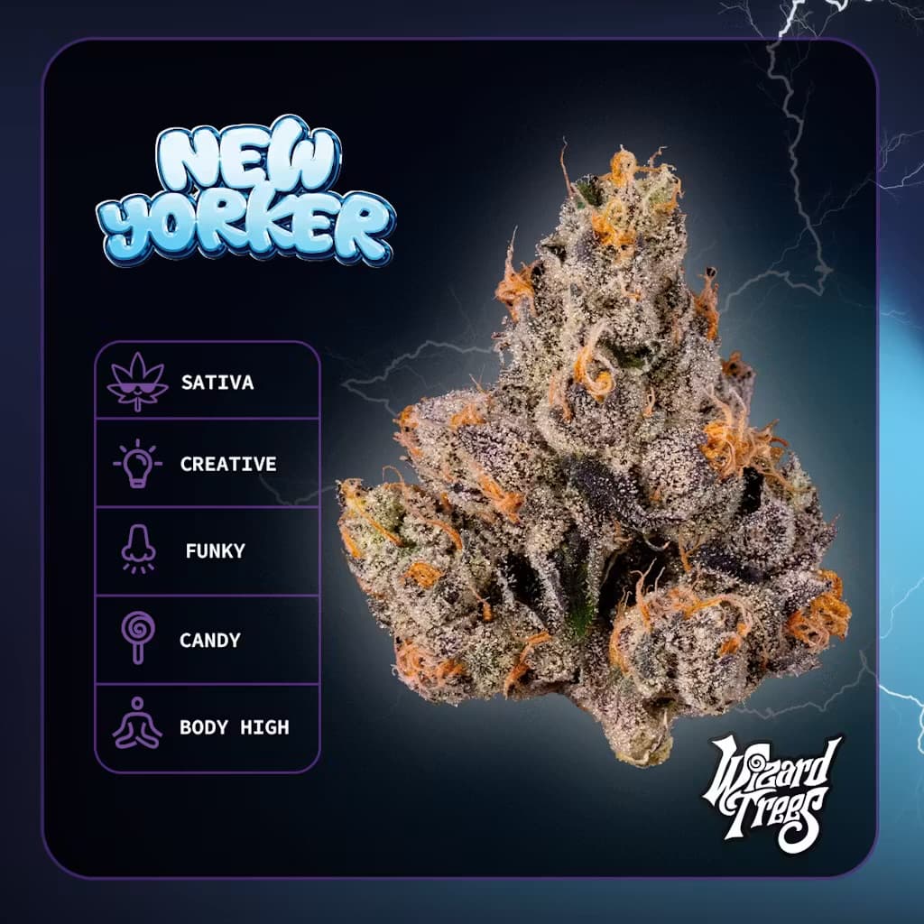 Wizard Trees Flower | New Yorker | 3.5g