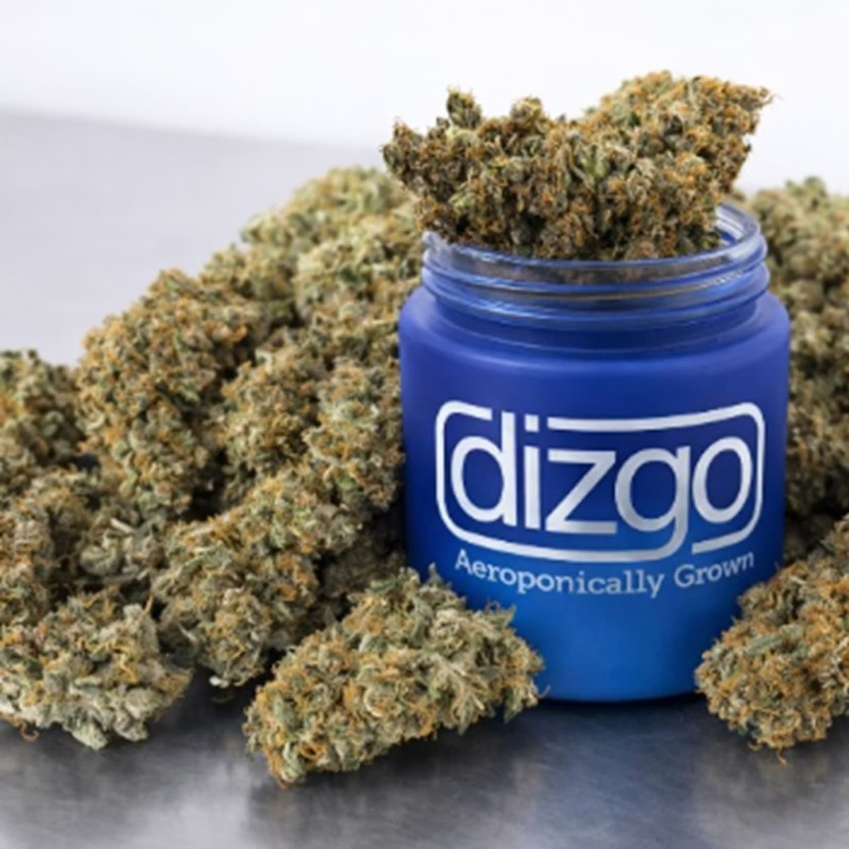 Dizgo