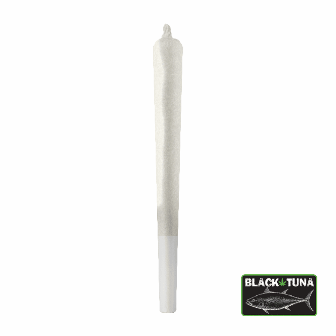Black Tuna