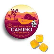 Camino Kiva Camino Pineapple Habanero Gummies 5mg 20pk