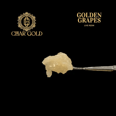 Clear Gold Concentrates Live Resin - Golden Grapes - 1g