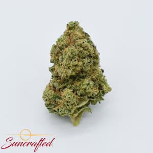 Suncrafted Rainbow Sherbet | Flower | 3.5g