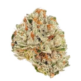 Phat Panda