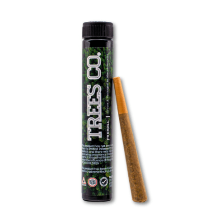 Trees Co