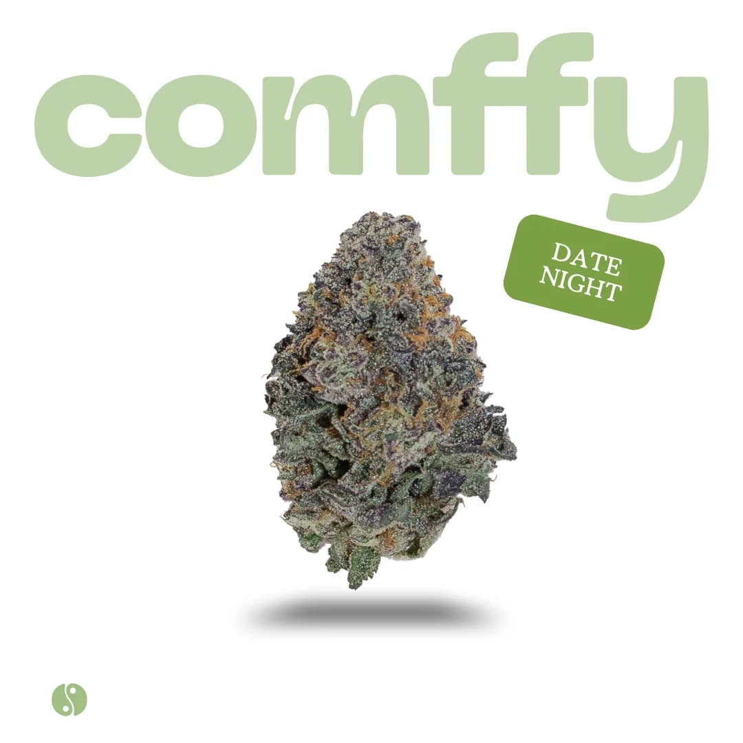 Comffy Date Night (H) Flower C0140000240
