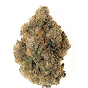 Phat Panda