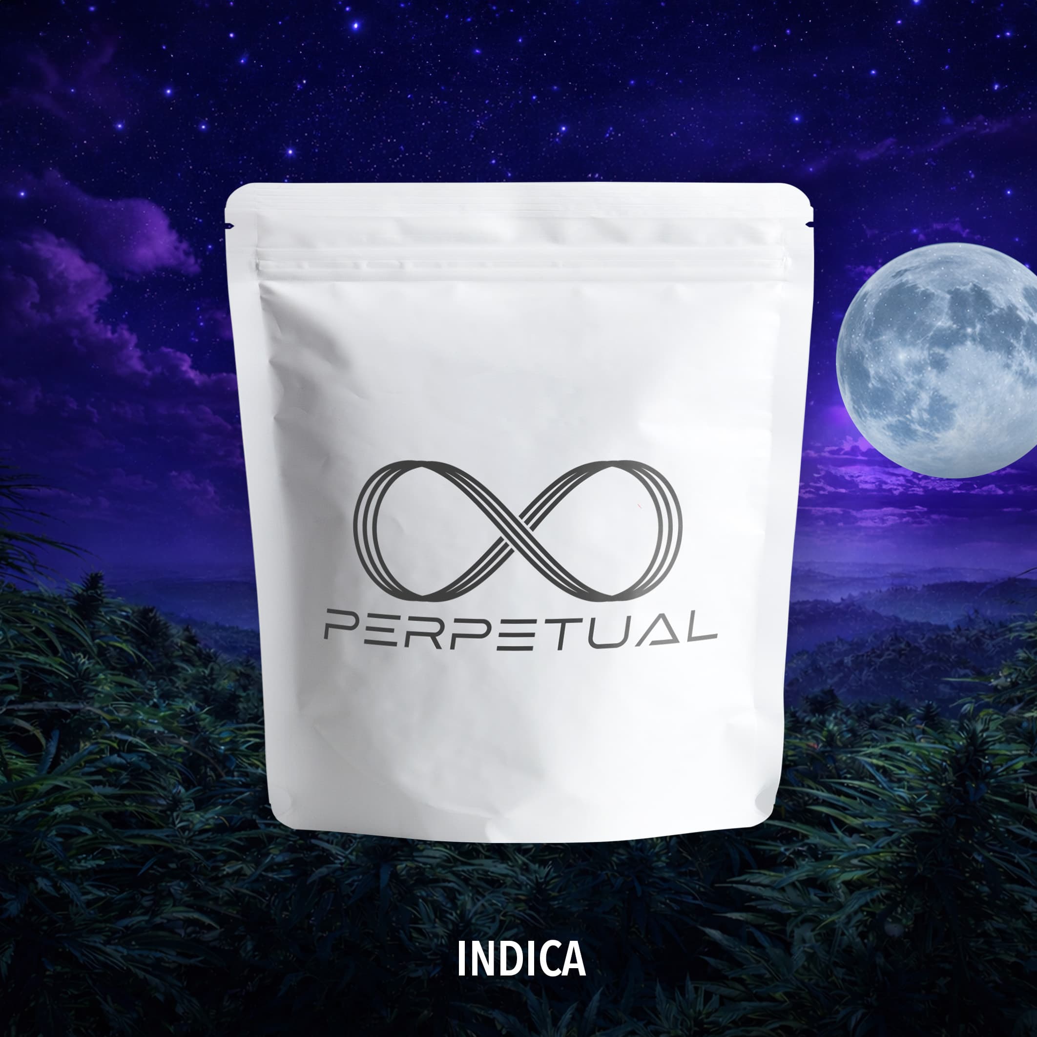 Perpetual