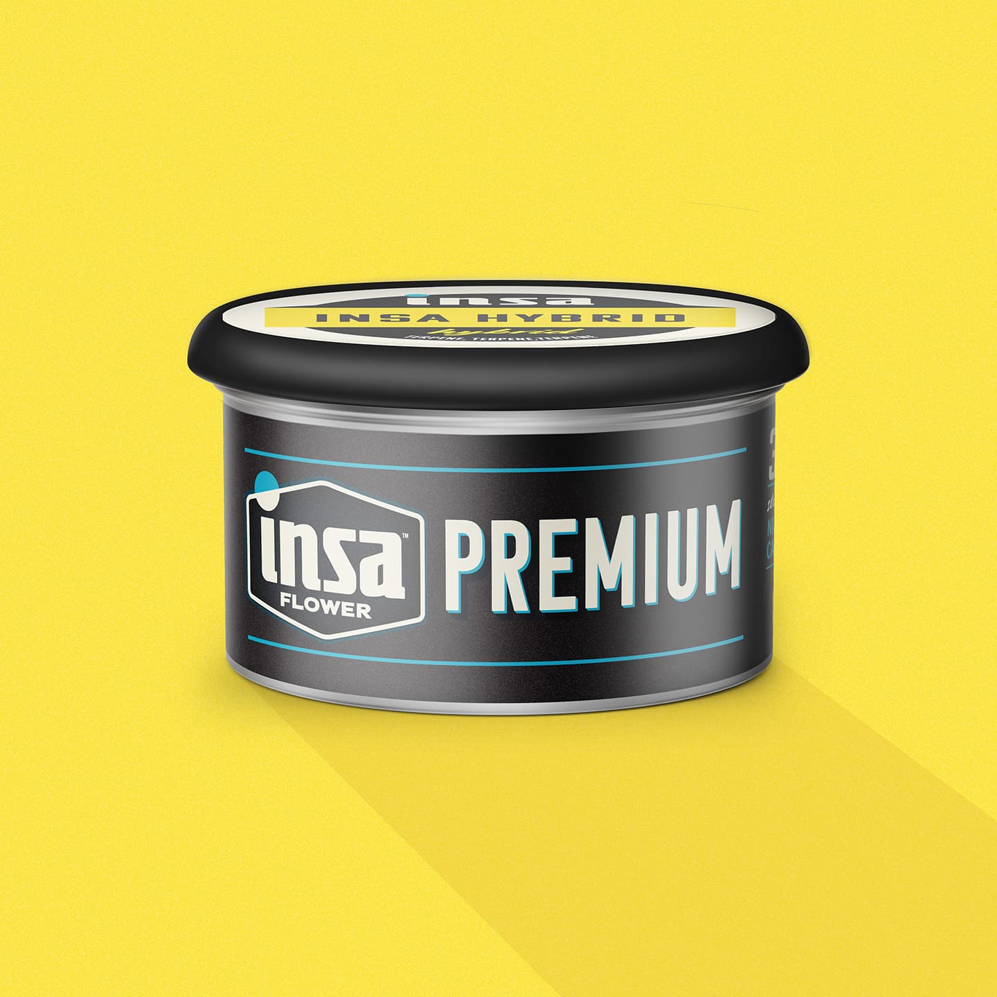 Insa