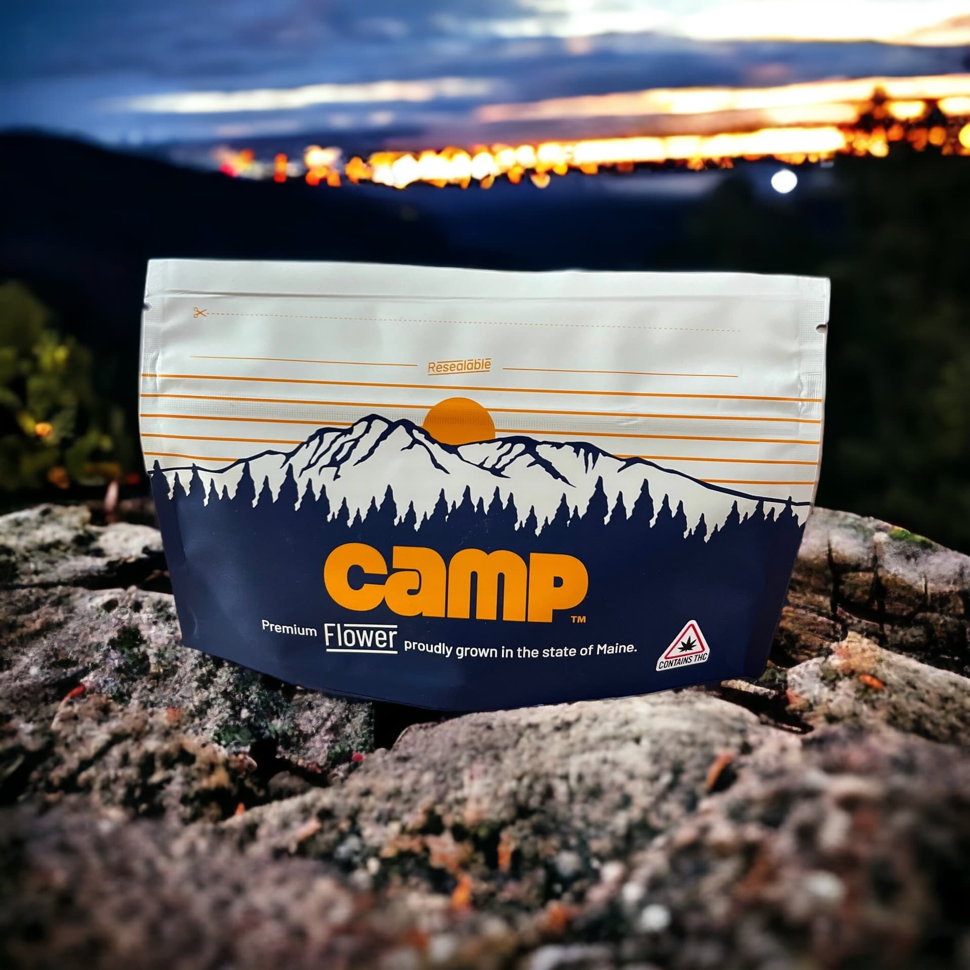 CAMP Tropical Tart