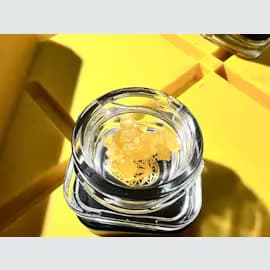 Maine Concentrates Diamonds - Maple Leaf