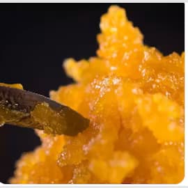 Maine Concentrates Live Resin - Purple Sunset