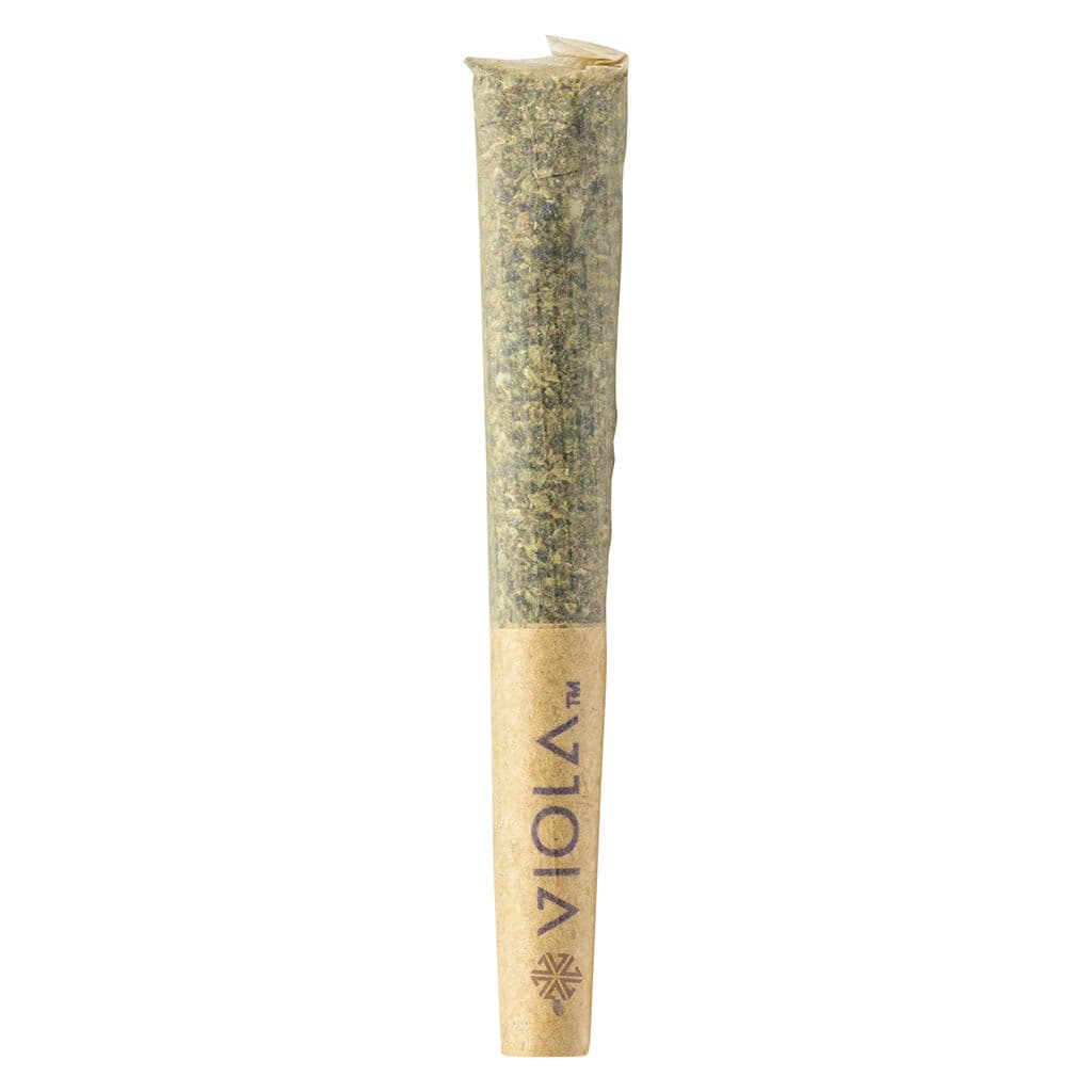 Viola Bucketz Loosies (Glueberry) Pre-Roll - 10 x .3g