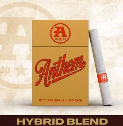 Anthem BOLD | King Louis XIII | Glass Tip