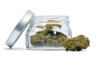 NTH Farms Bulk Shake - Grape Cream Cake