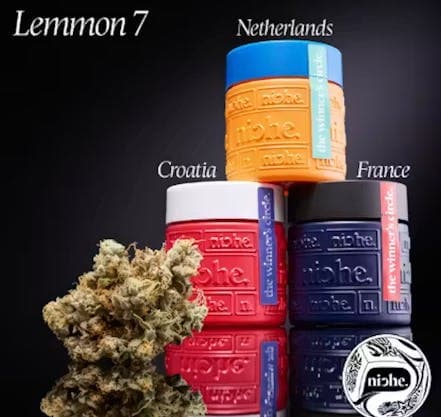 niche. Lemmon 7