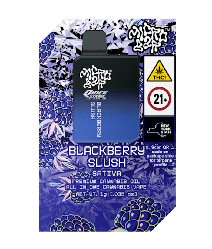 Micro Bar Blackberry Slush | AIO Vape | Sativa