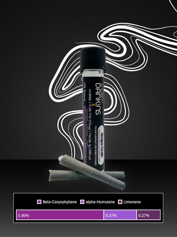 Snobby Dankins Snobby Dankins Grape Crush 2-Pack Prerolls 1g