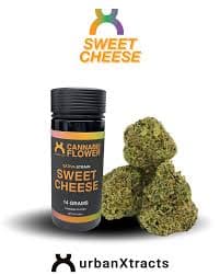 URBANXTRACTS Sweet Cheese | Flower | 14g
