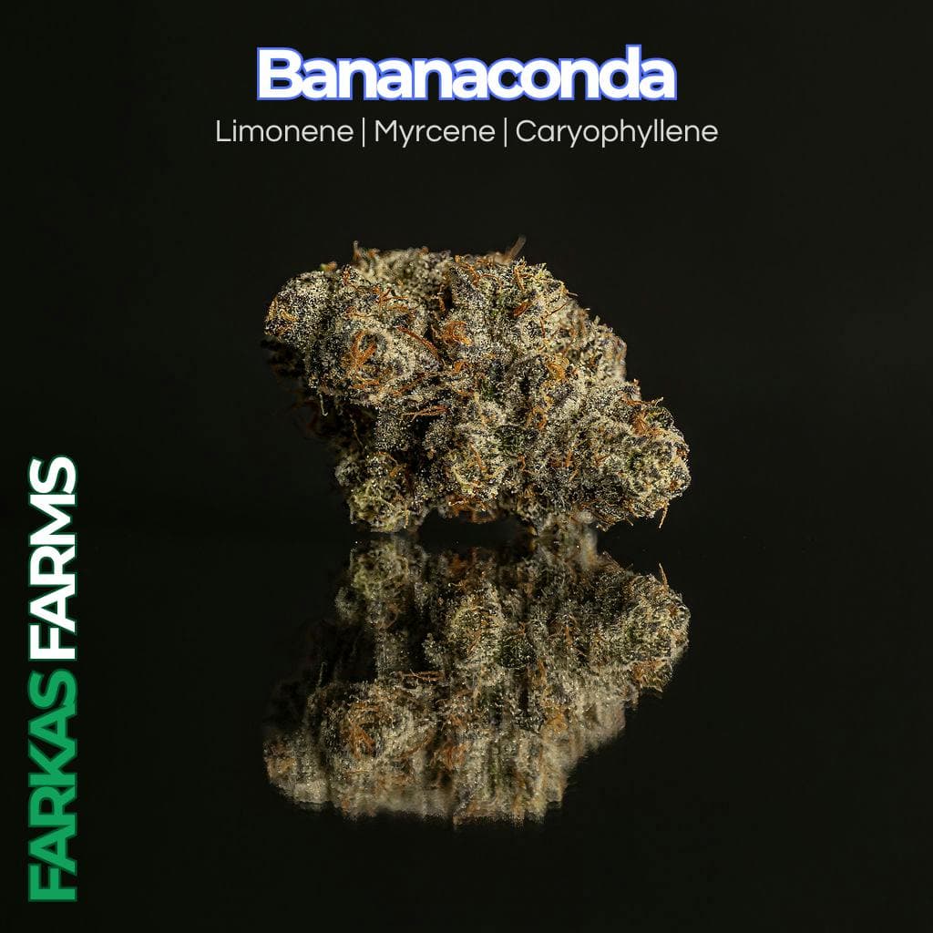 Farkas Farms Bananaconda | 14g
