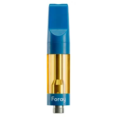 Foray