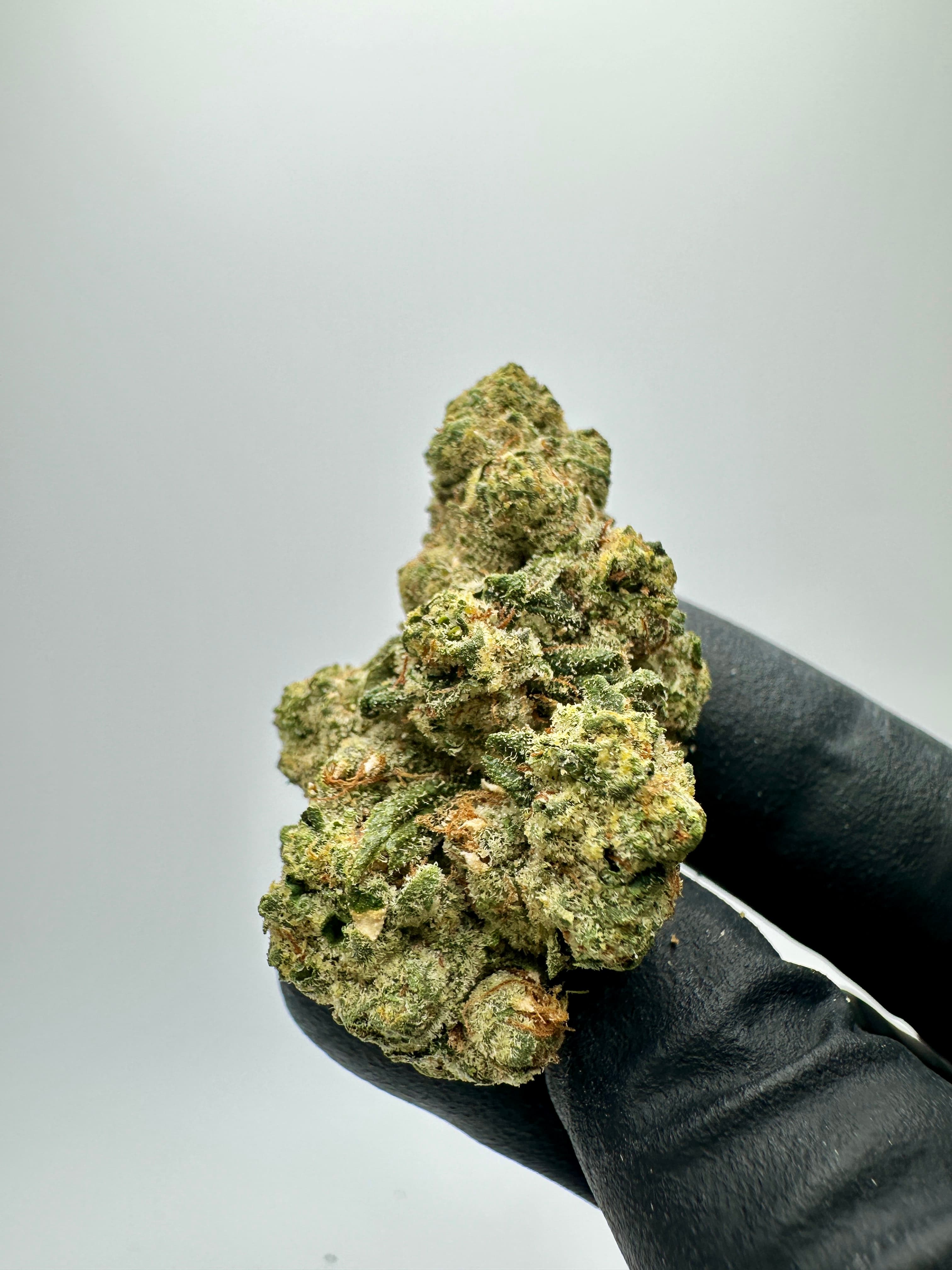 Big Sioux Bud Peach Crescendo