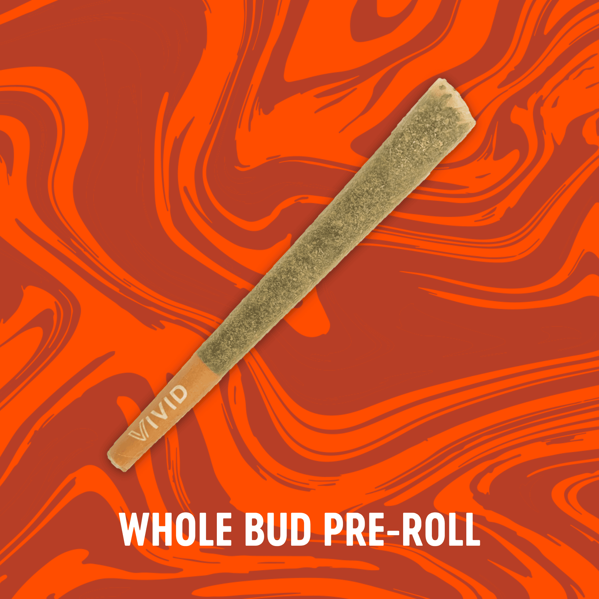 Vivid Pre-Roll | Florida Mintz | 1g