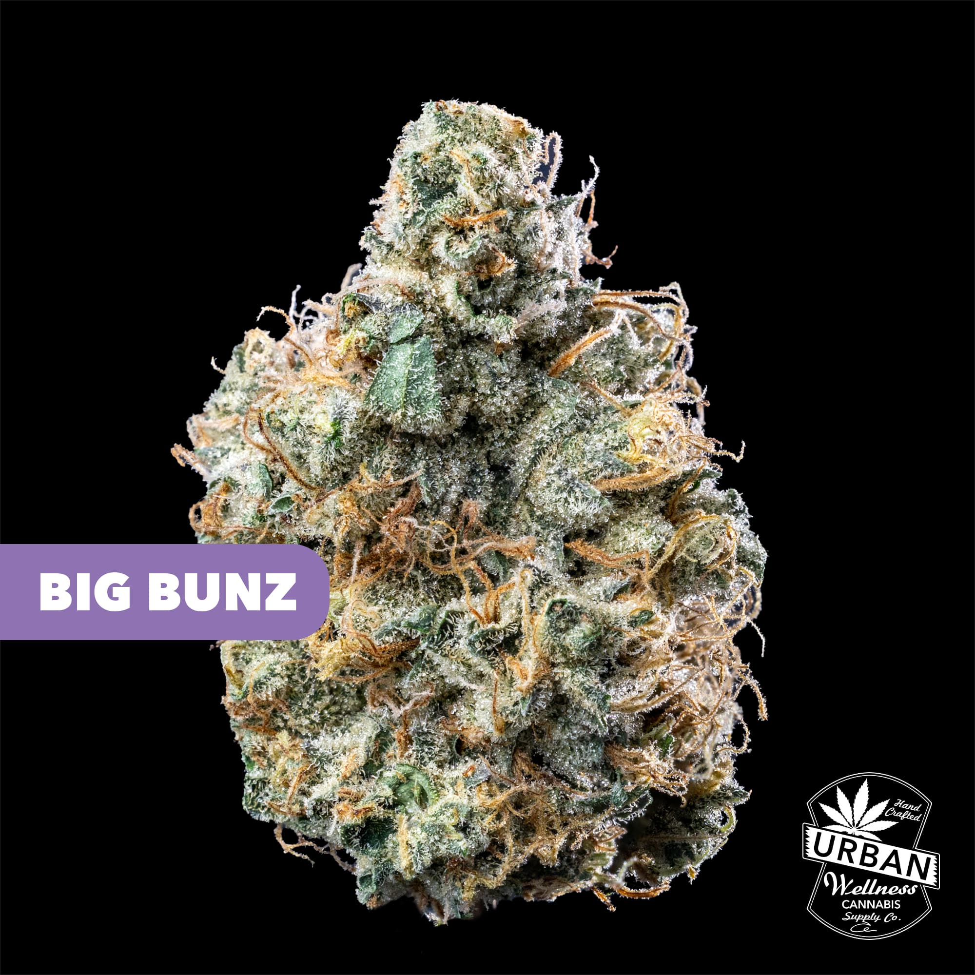 Urban Wellness Big Buns