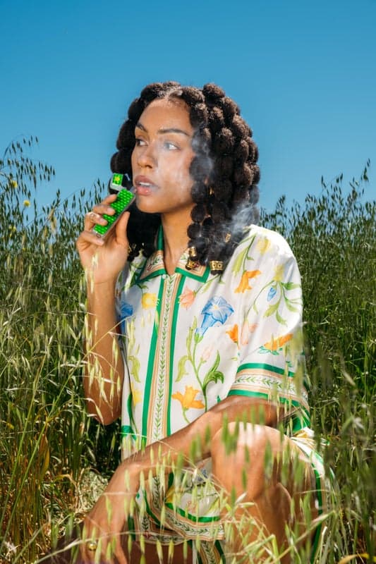 Timeless Pineapple Express Chill Cartridge | 1g