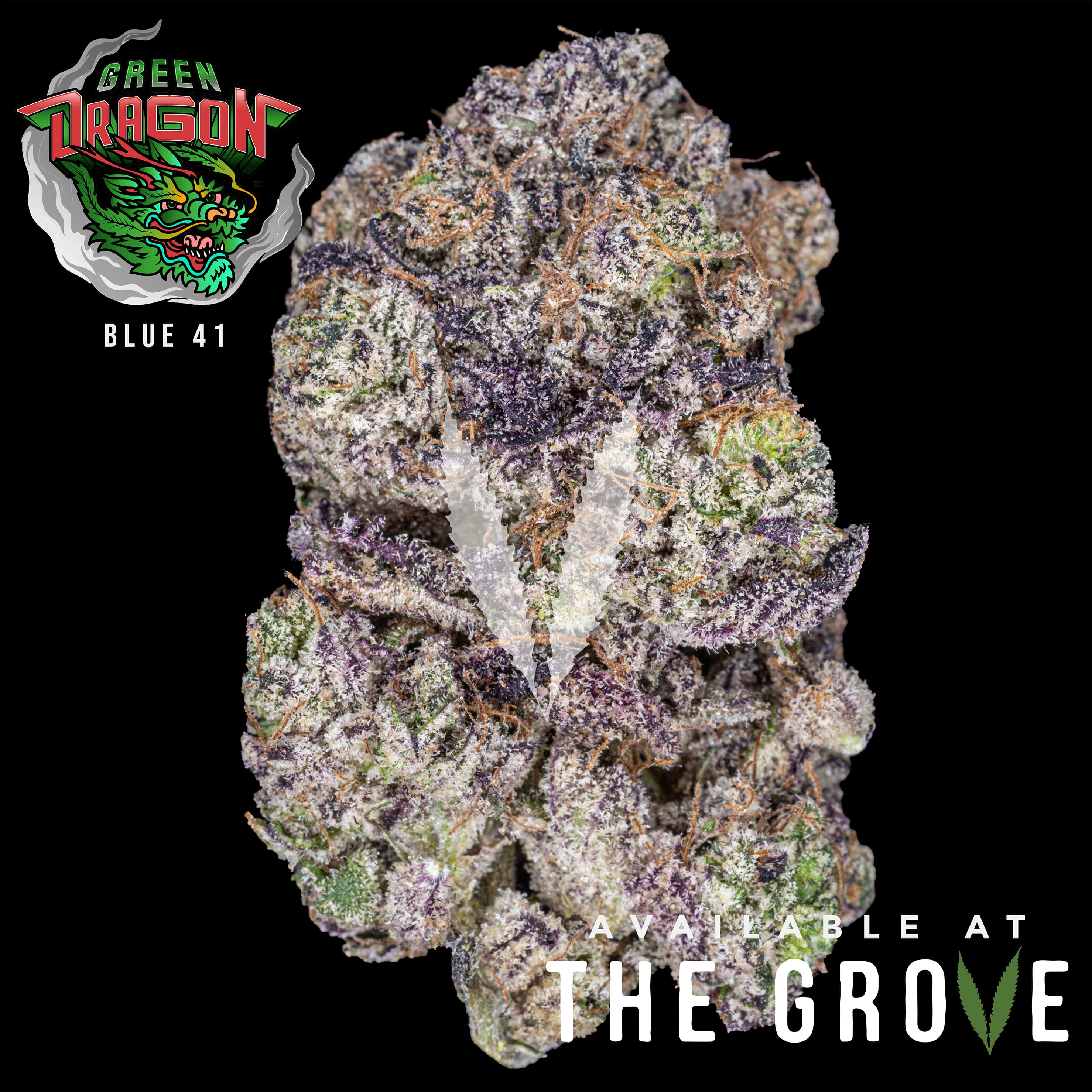 Green Dragon - CO