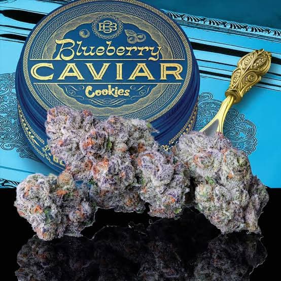 Cookies Blueberry Caviar Flower | 3.5g